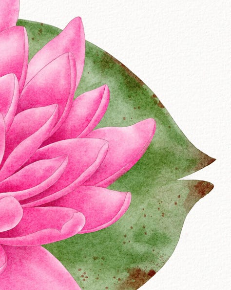 cropped detail images of a painting of.a pink waterlily