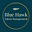 Avatar van Blue Hawk Management
