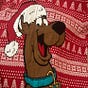 Bill Carr's avatar