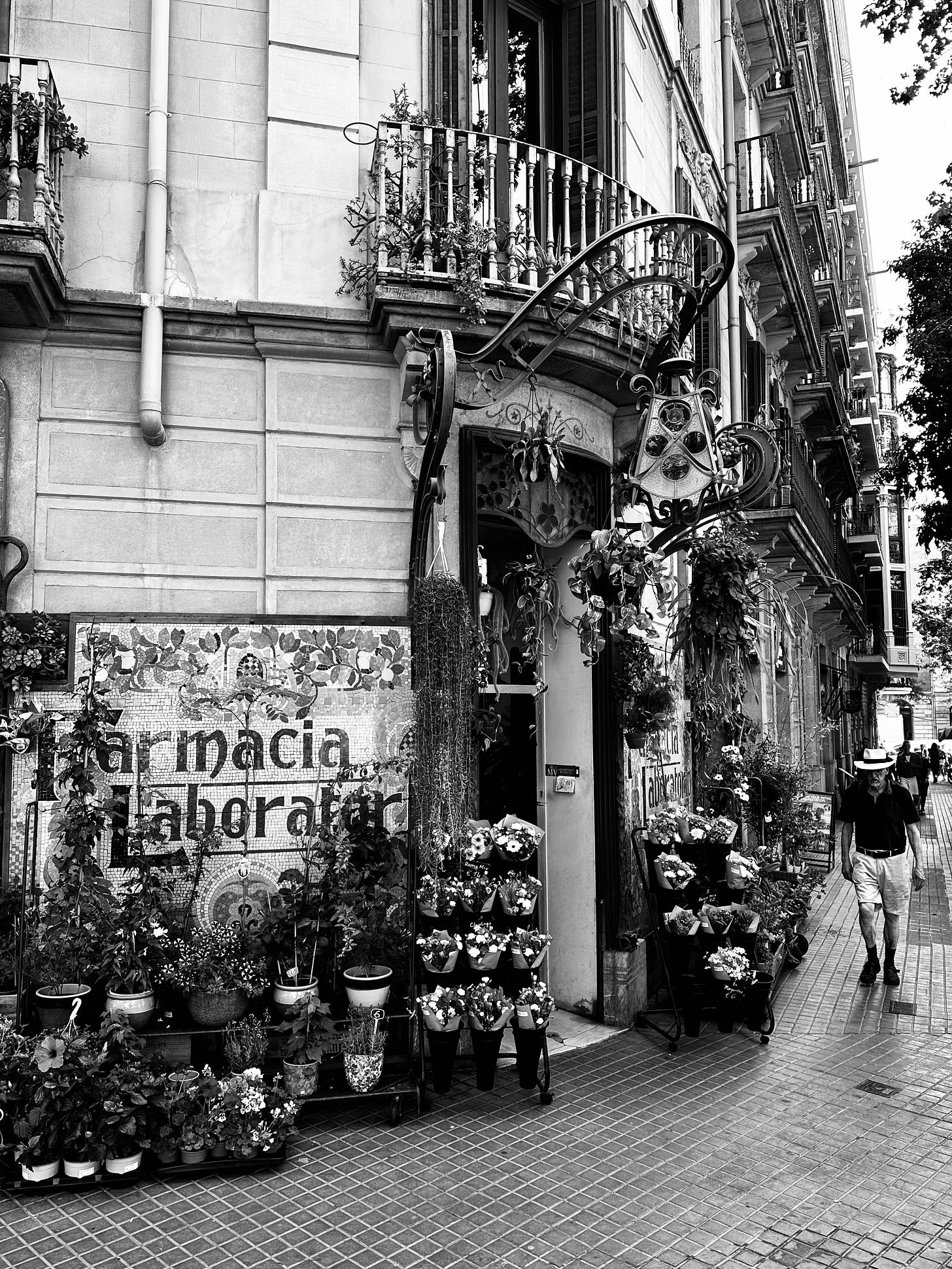 Blooming Corners: A Barcelona Street Scene in Monochrome Blooming Corners: A Barcelona Street Scene in Monochrome