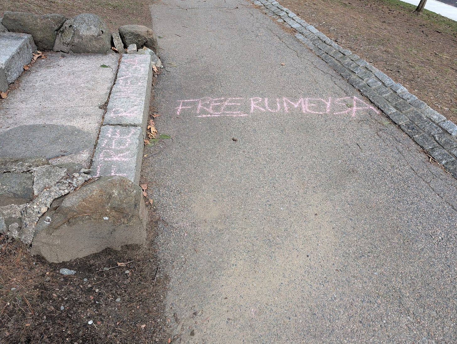 "FREE RUMEYSA" written in pink chalk on a park sidewalk