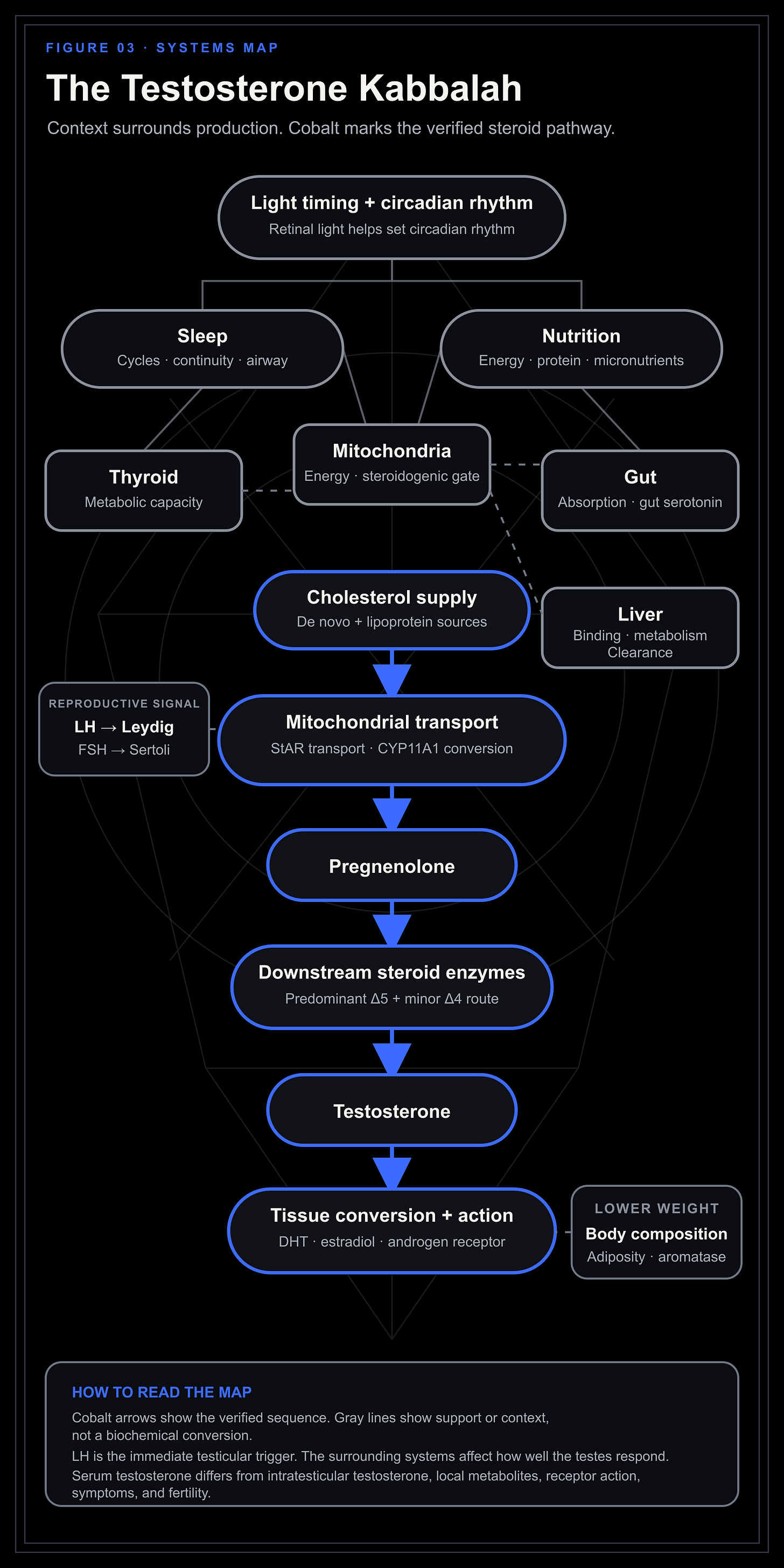 The Testosterone Kabbalah systems tree