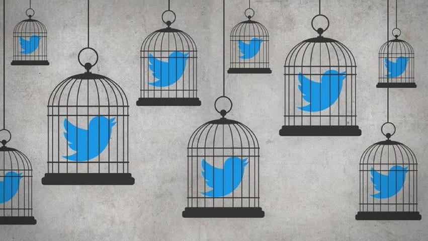 🇺🇸❤️Sree | Dis'Qualified|💙🇺🇸 on Twitter: "Don't cage the little bird  let it fly free!What's M 0D1 scared of? He supposedly has a huge  mandate,the media, judiciary, army n police all paying obeisance