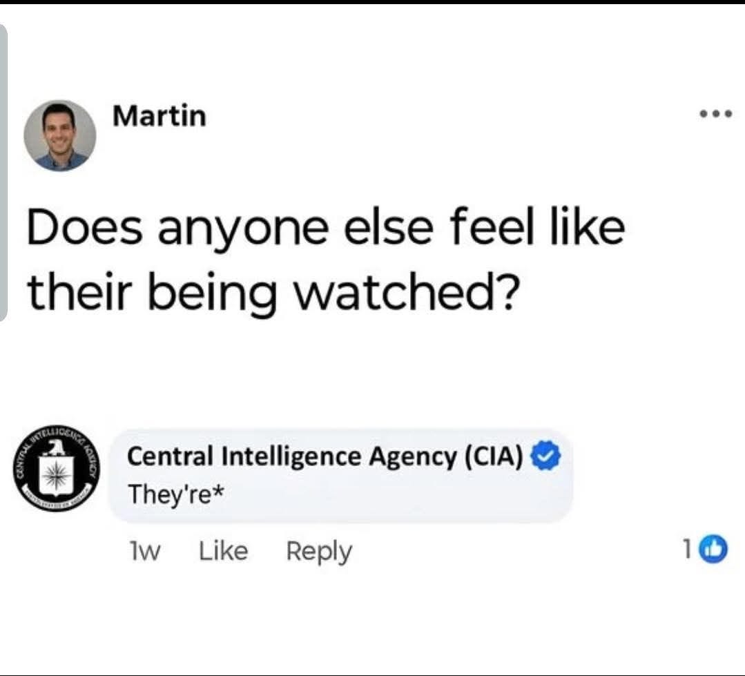 May be a Twitter screenshot of television, screen and text that says 'Martin Does anyone else feel like their being watched? Central Intelligence Agency Agency (CIA) They're* 1w Like Reply 10 1'