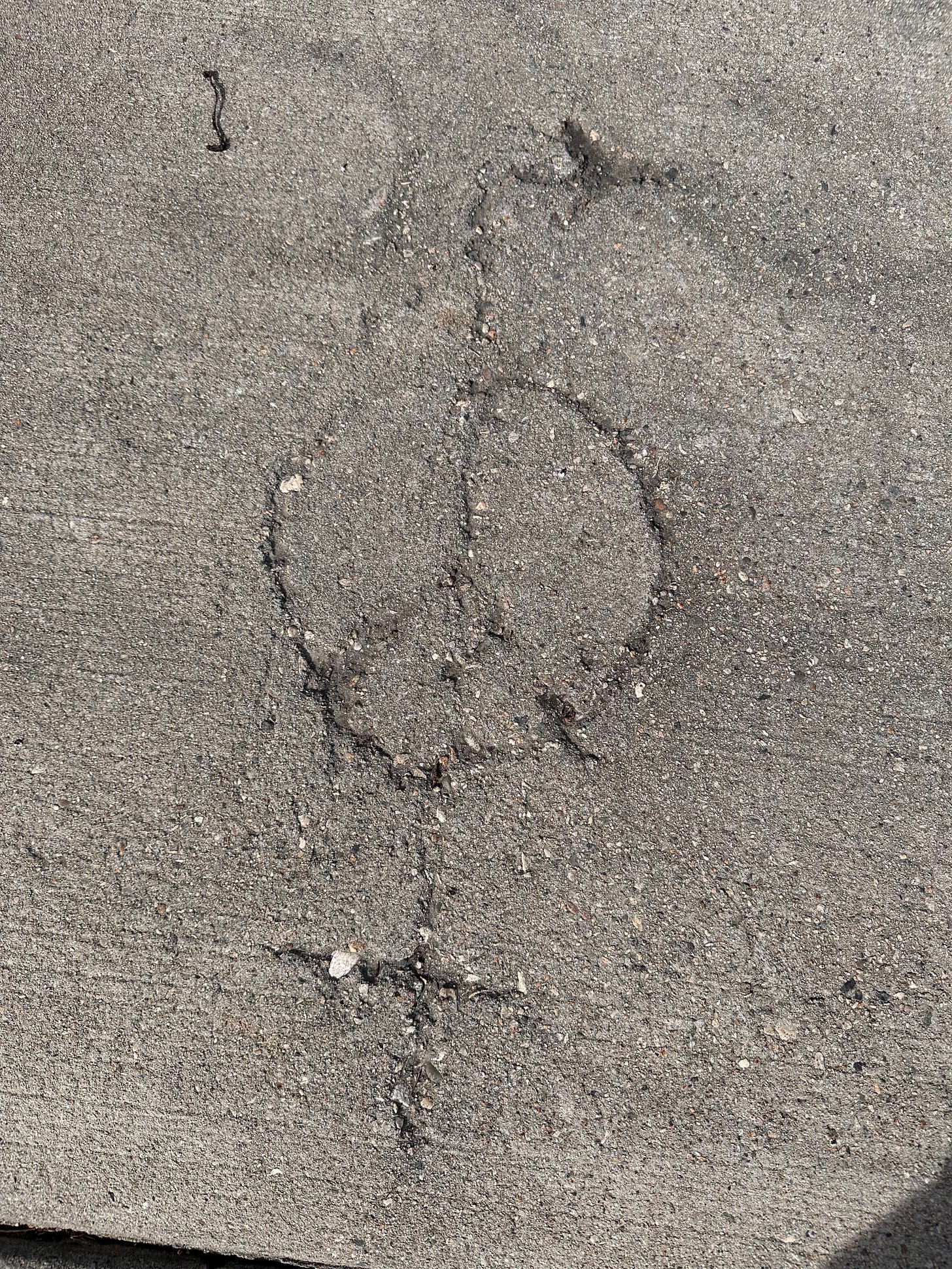 Design etched into a sidewalk Design etched into a sidewalk