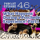 Ep. 46 | Psychedelic Healing by Cultivating the Witness