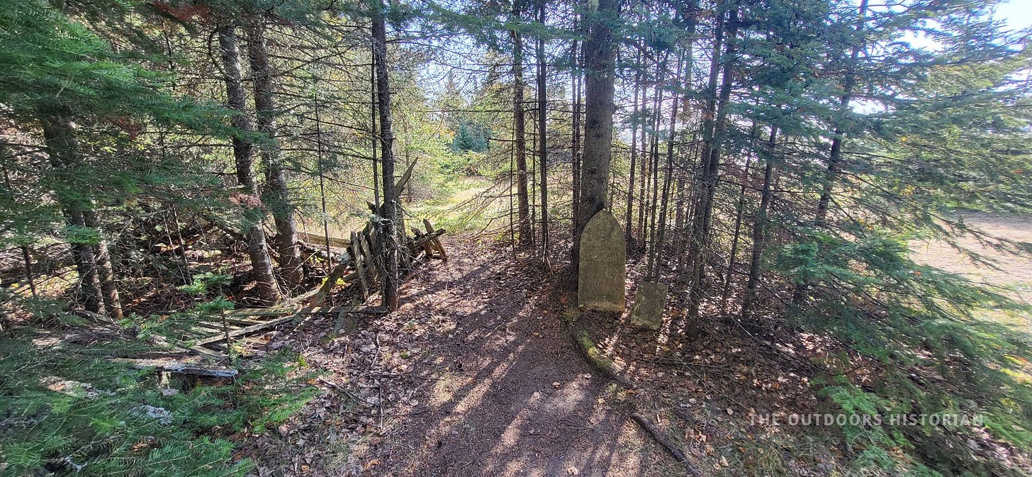 A forest trail scene showing a weathered, grey wooden picket fence. A birch tree has grown directly through the slats of the fence. An old headstone is visible in the background.