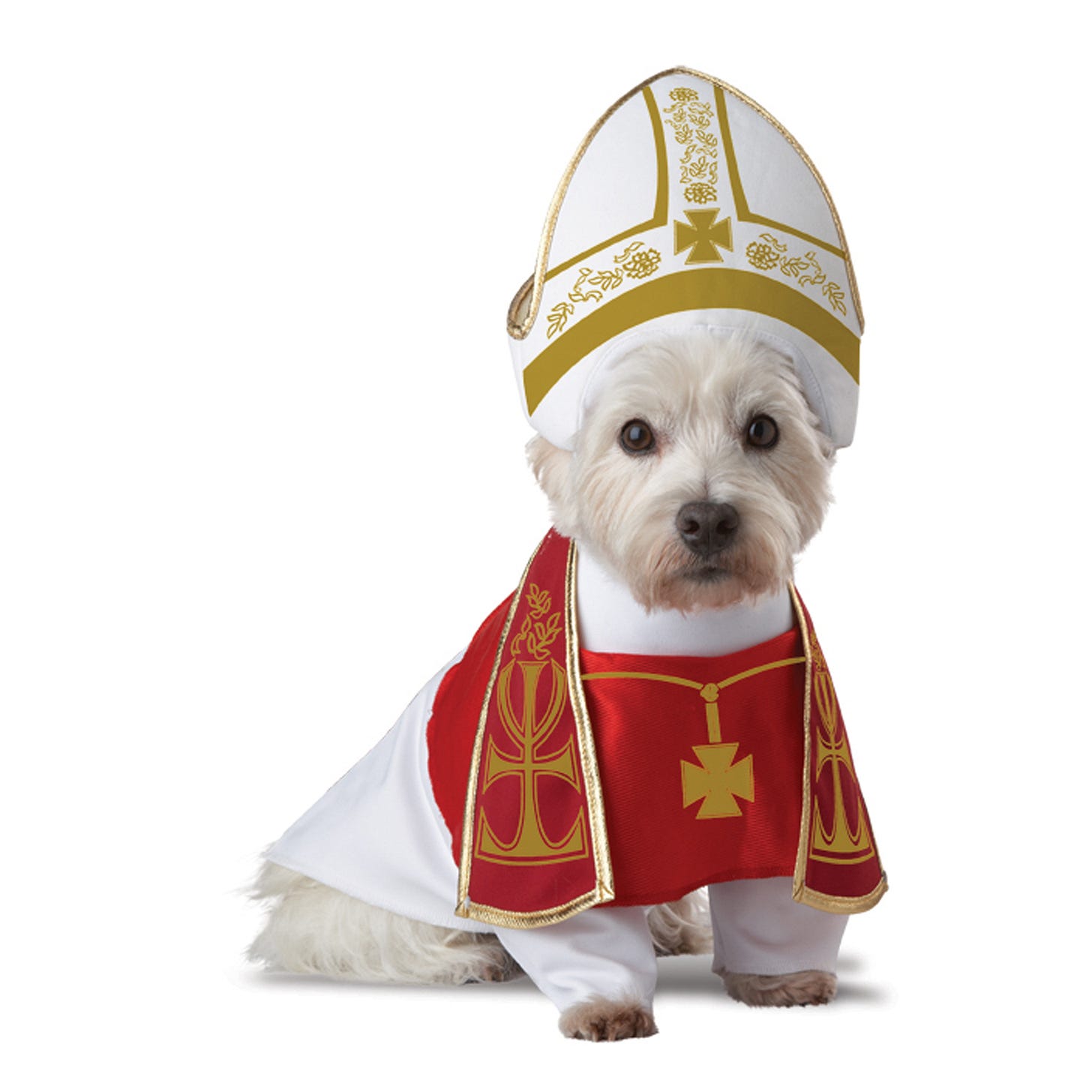 Animal Planet Holy Hound Dog Costume