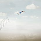 Instant Carma’s Gonna Get You: Turning the Tables on My Scammer