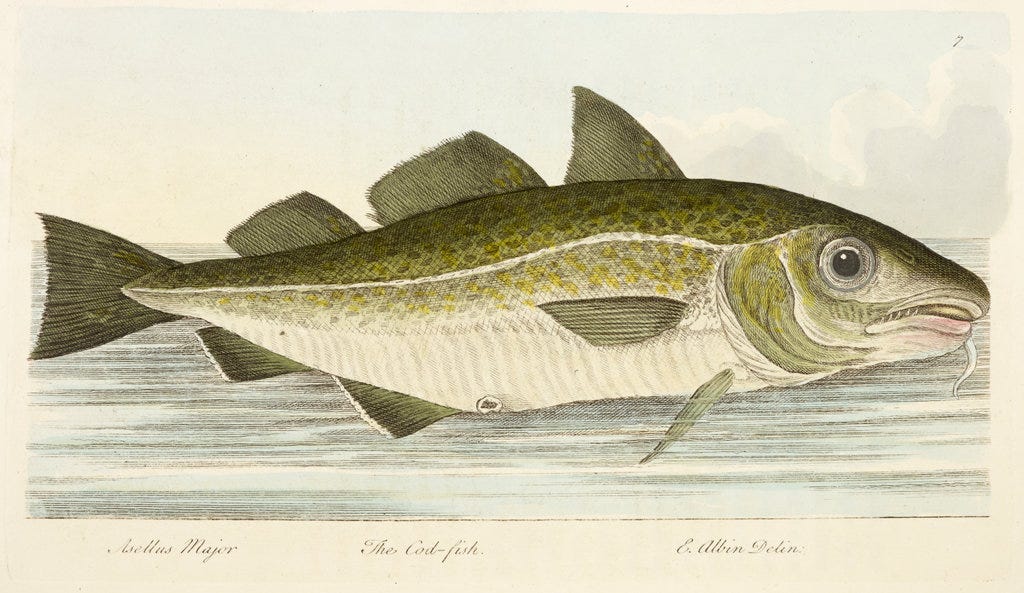 A treatise on fish and fish-ponds, by The Hon. Roger North. Illustrated with eighteen beautifully-coloured specimens, by Ebenezer Albin. 