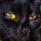 Kit’s Concatenation 