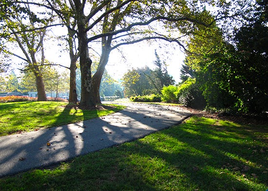 photo of Longwood Gardens, by John Hulsey