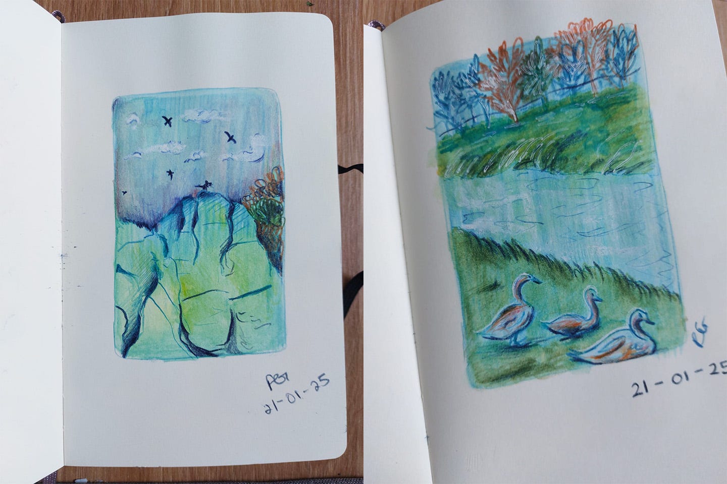 2 sketches in a sketchbook. The left is of birds flying over a cliff and the one on the right is a pond of geese. Both have cold colour schemes, in greens, blues and purples.