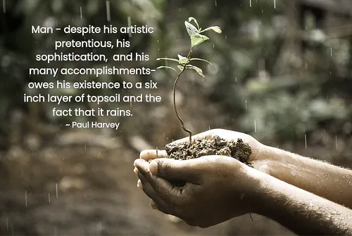 beyond dirt