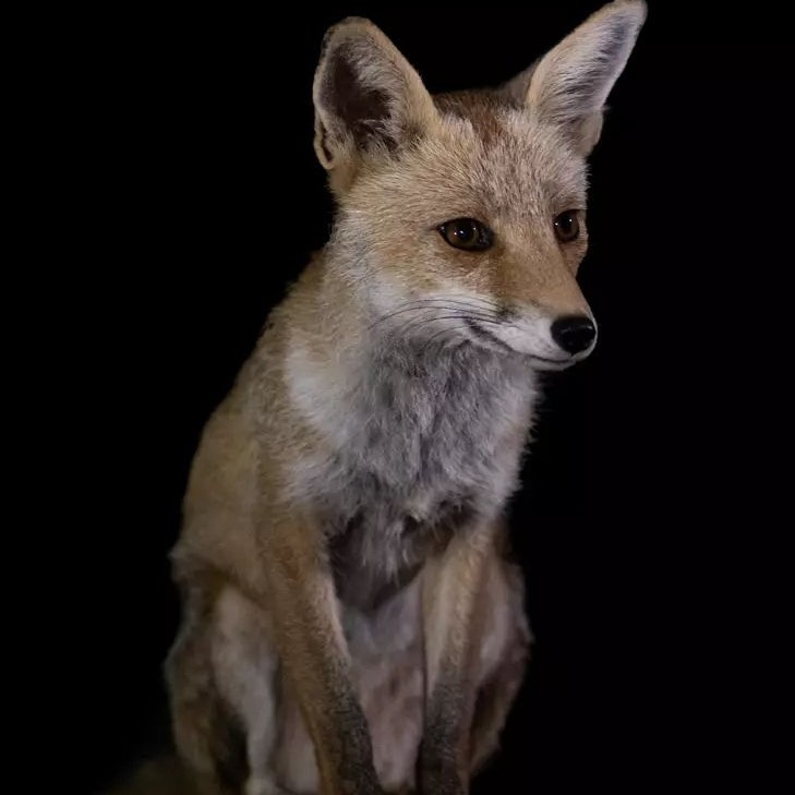 Relatos de la Natura \ud83c\udf32