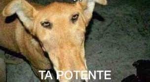 Se usa cuando está fuerte el asunto - Imágenes Para Reaccionar | Facebook