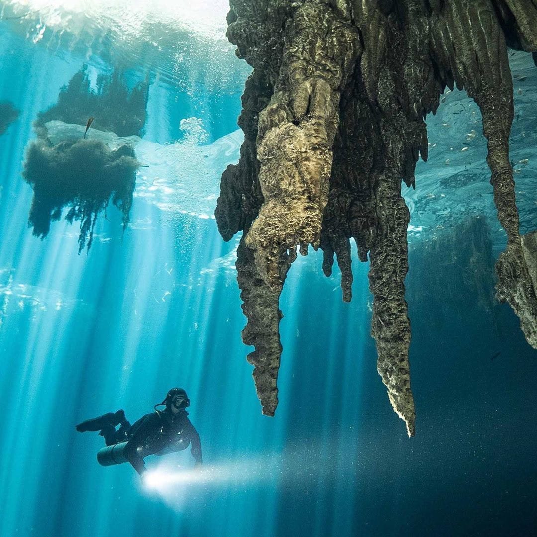 scuba diver