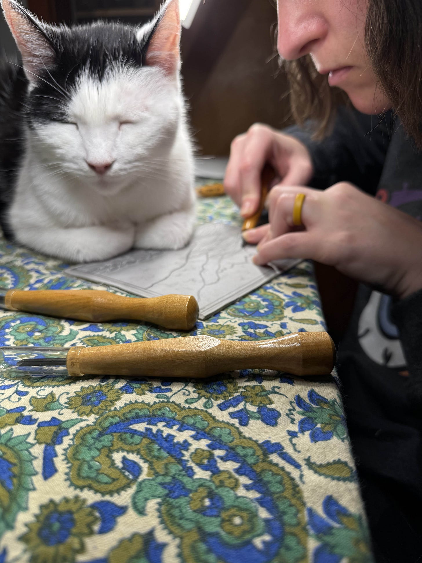 Michelle carving a linoleum block while her black and white cat, Mac, sleeps on the table next to the block.