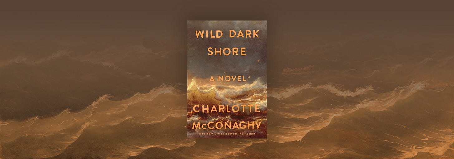 Surviving Disaster in "Wild Dark Shore" - Chicago Review of Books Surviving Disaster in "Wild Dark Shore" - Chicago Review of Books