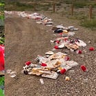 Canada's growing illegal dumping problem and the individuals behind it