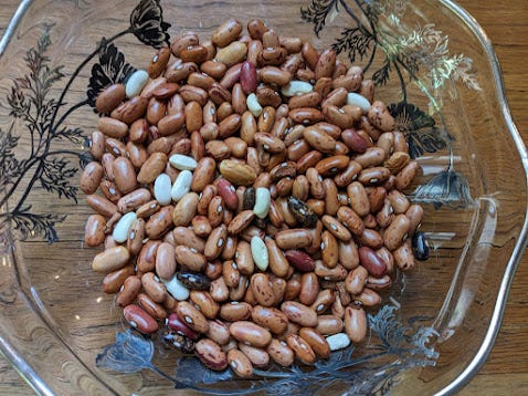 bowl of heirloom beans
