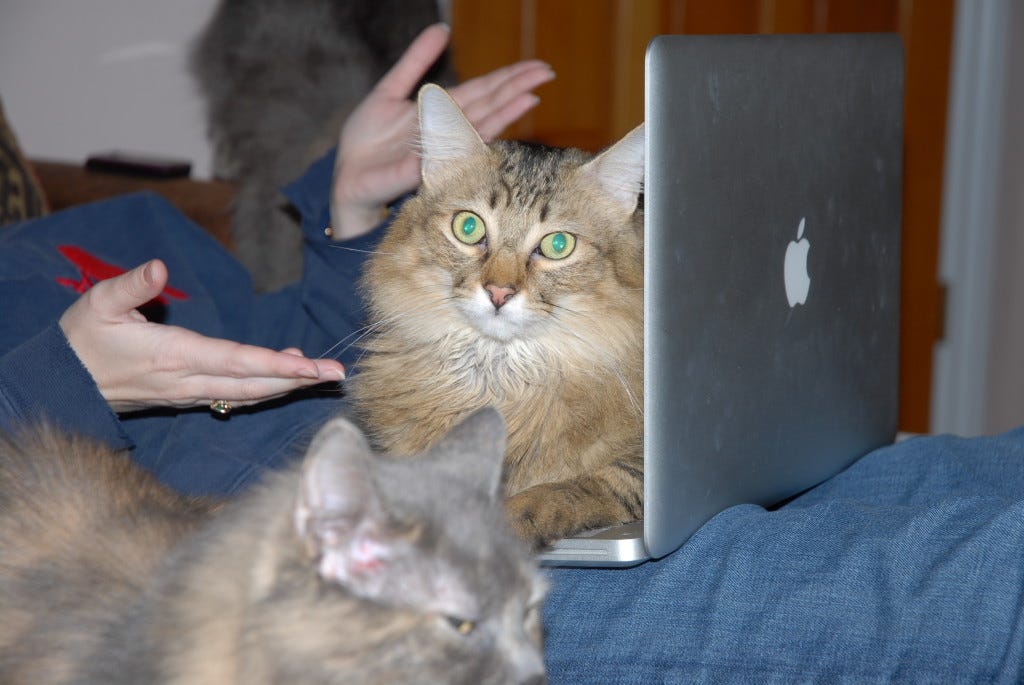 Chase_On_Computer Chase_On_Computer
