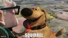 a cartoon dog is holding a squirrel in its mouth while talking to a man .