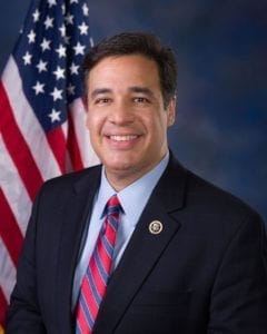 Labrador Nate