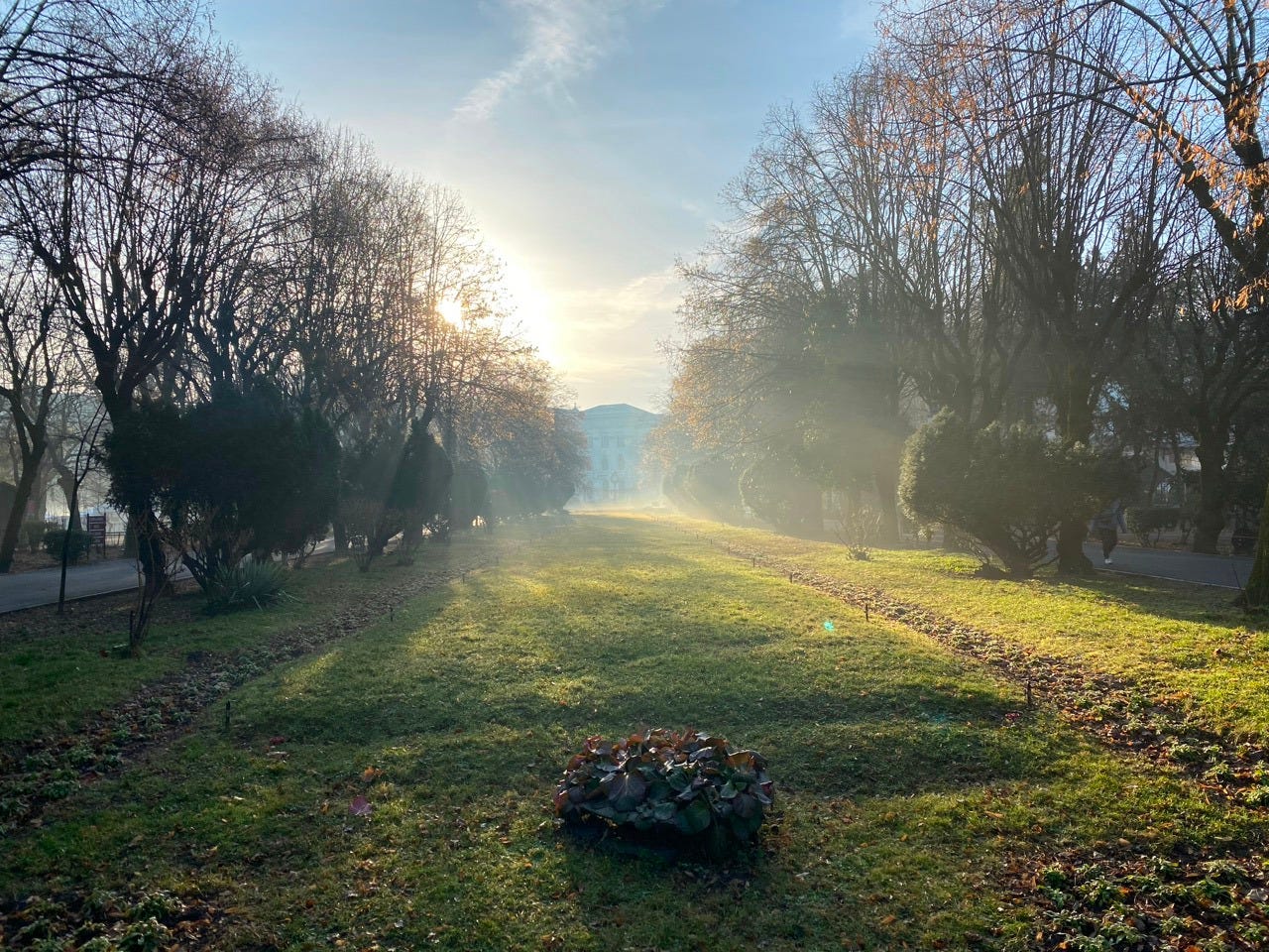 An image of grass and trees in a Bucharest park, with sunlight coming in through the fog of a chilly winter morning. An image of grass and trees in a Bucharest park, with sunlight coming in through the fog of a chilly winter morning.