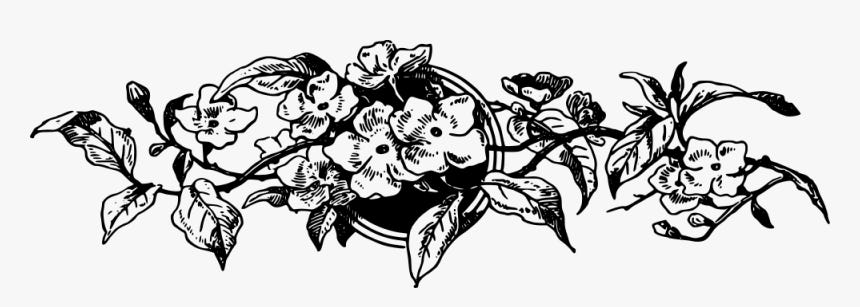 Decorative Divider - Victorian Era Border Png, Transparent Png ,  Transparent Png Image - PNGitem