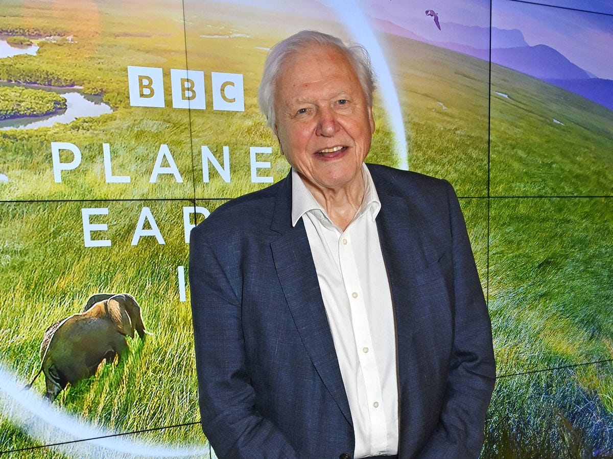 Sir David Attenborough's extraordinary new Planet Earth III in pictures -  Mirror Online