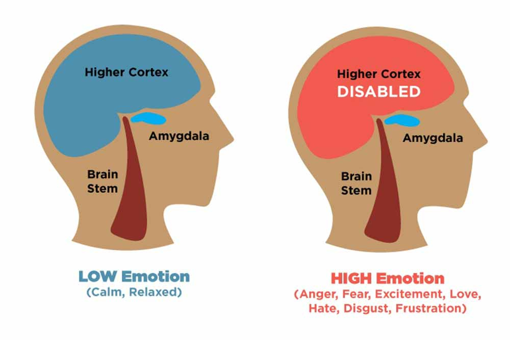 Amygdala Hijack: How It Works, Signs, & How To Cope Amygdala Hijack: How It Works, Signs, & How To Cope