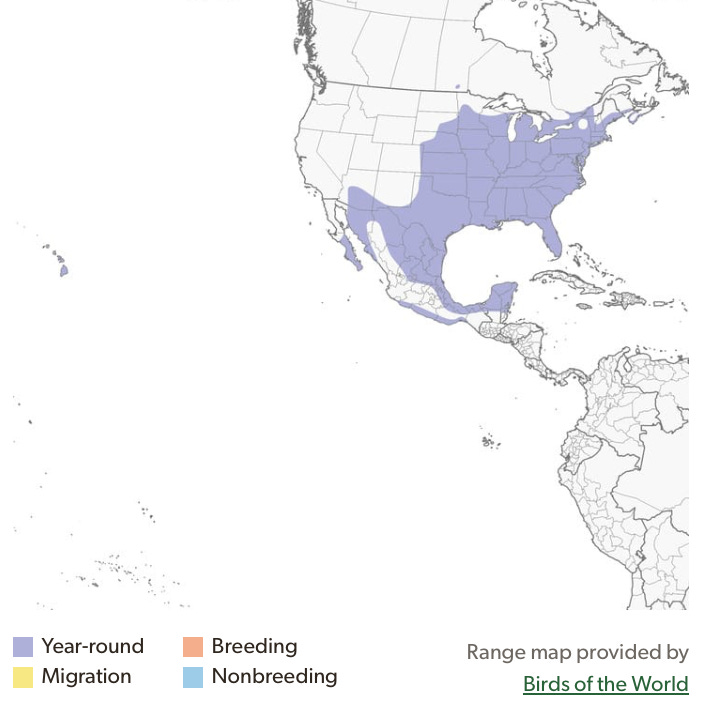 Screenshot 2025-02-04 at 9.46.15 AM.png Screenshot 2025-02-04 at 9.46.15 AM.png