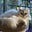 Joanne Gatsis's avatar