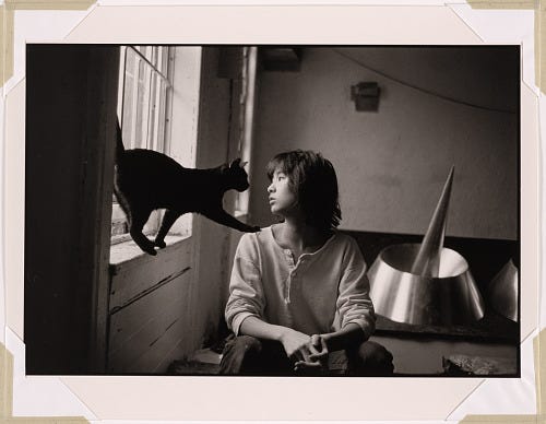 Maya Ying Lin