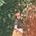 Abbey Sy's avatar