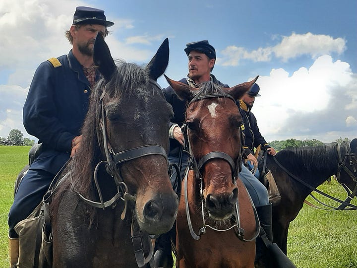 Horses in a cavalry battle.