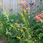 Making mini meadows with Graham Laird Gardner