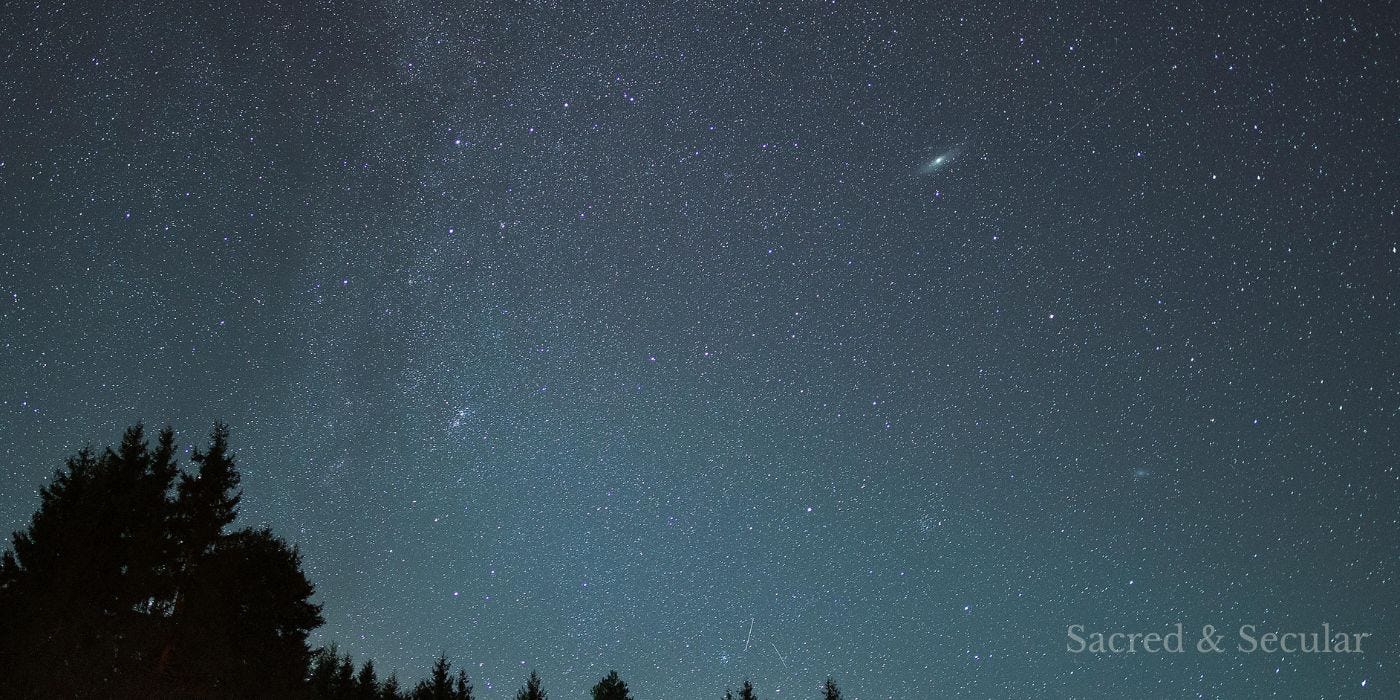 **Alt image description:** A clear night sky filled with thousands of stars stretches above a dark treeline. The Milky Way is faintly visible across the sky, while the landscape below remains in shadow, creating a sense of awe, stillness and vastness. **Alt image description:** A clear night sky filled with thousands of stars stretches above a dark treeline. The Milky Way is faintly visible across the sky, while the landscape below remains in shadow, creating a sense of awe, stillness and vastness.