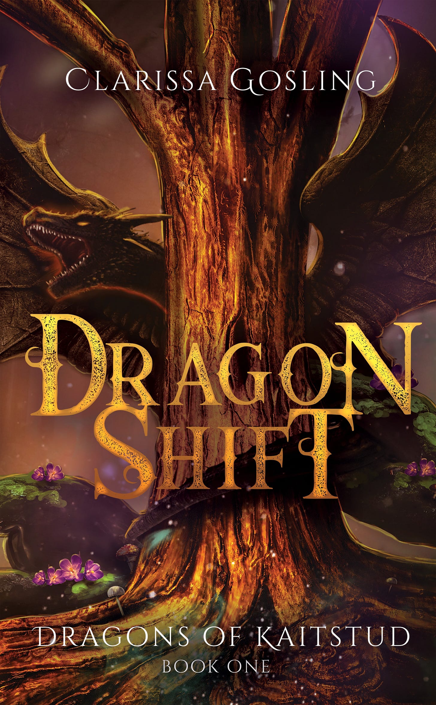 Dragon Shift by Clarissa Gosling
