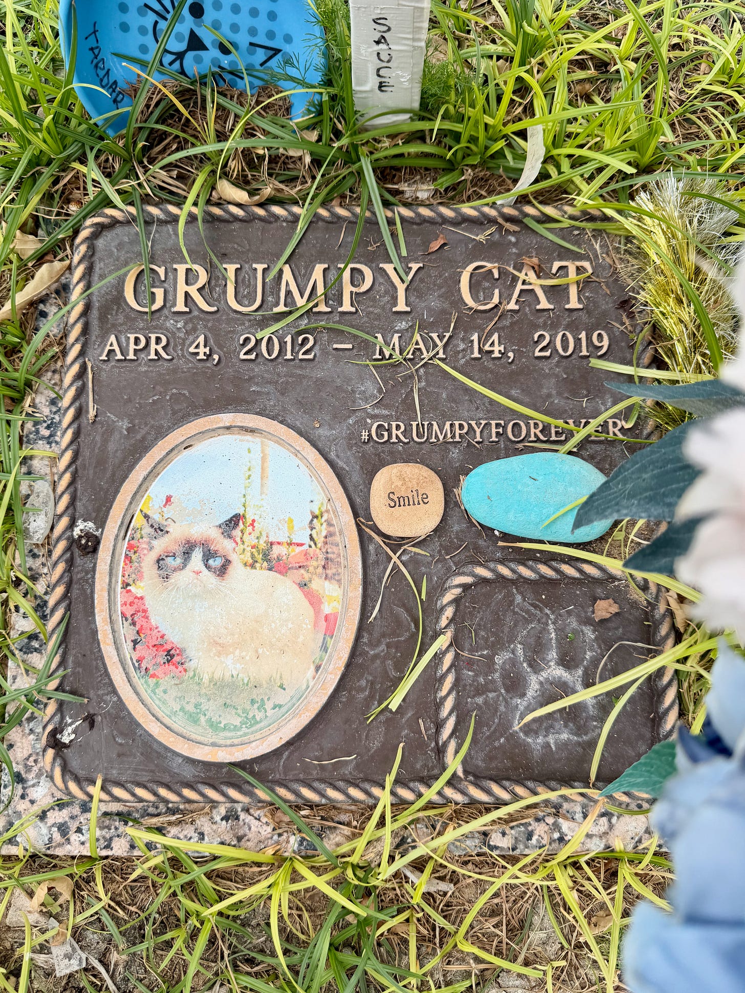 Grumpy Cat's bronze grave marker at Sunland Memorial Park in Sun City, Arizona, reading 'GRUMPY CAT APR 4, 2012 – MAY 14, 2019 #GRUMPYFOREVER,' with fan offerings including a Tardar Sauce pet dish and a small stone reading 'Smile' Grumpy Cat's bronze grave marker at Sunland Memorial Park in Sun City, Arizona, reading 'GRUMPY CAT APR 4, 2012 – MAY 14, 2019 #GRUMPYFOREVER,' with fan offerings including a Tardar Sauce pet dish and a small stone reading 'Smile'