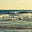 Beach~'s avatar