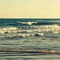 Beach~'s avatar