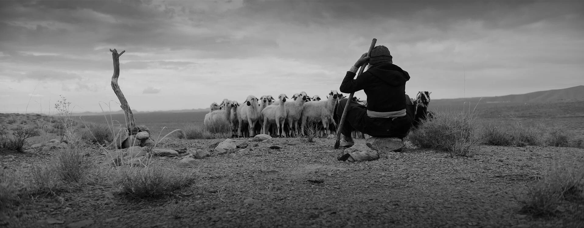 Still of LandStone filme | Photo credit: Faraz Fadaian