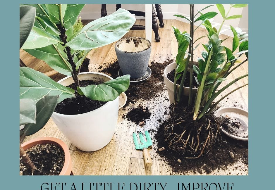 The Life-Changing Benefits of Houseplants (with Science and Quick-win Strategies) 