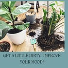 The Life-Changing Benefits of Houseplants (with Science and Quick-win Strategies) 