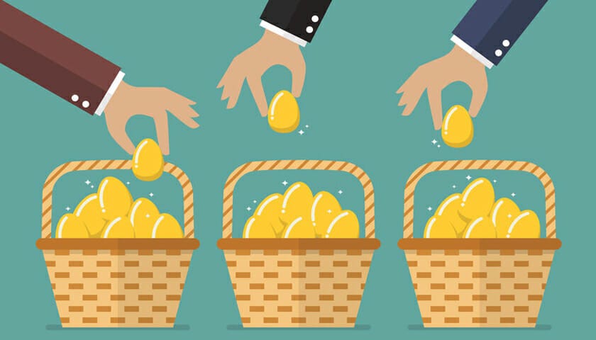 Diversification in business - advice for small businesses | THP