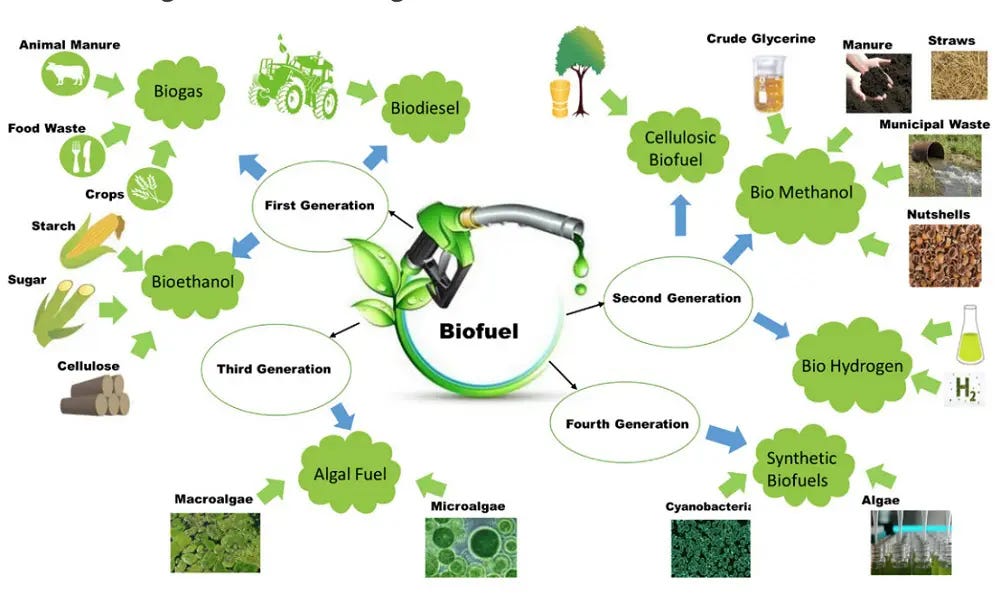 16 Important Pros and Cons of Biofuels to Know