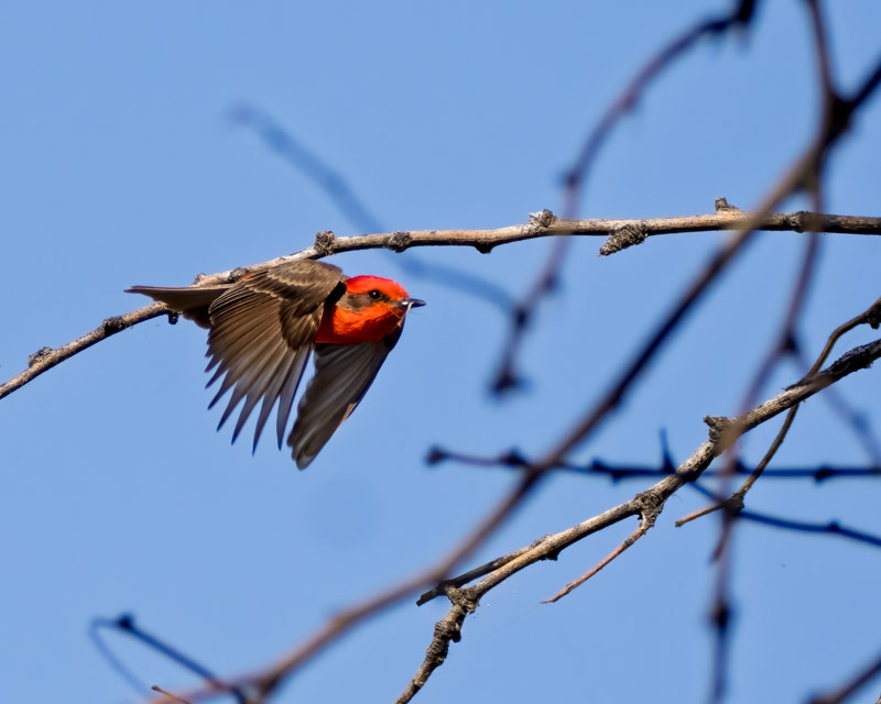 20260330-Sweetwater-130-Edit.jpg 20260330-Sweetwater-130-Edit.jpg