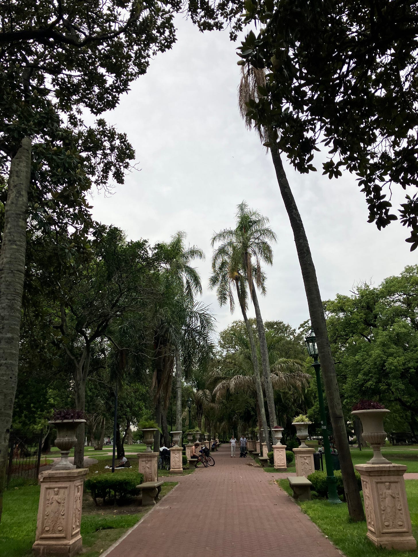 photograph of trees lining path in park